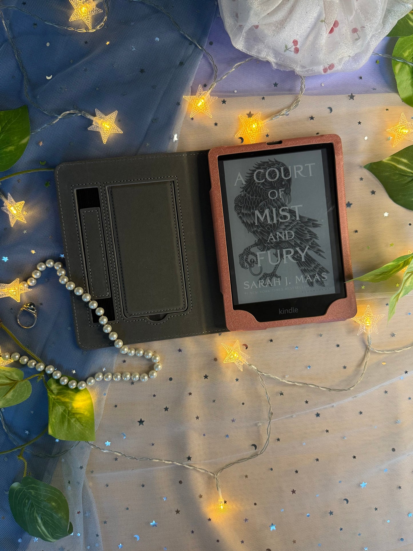 Bookshelf Kindle Case