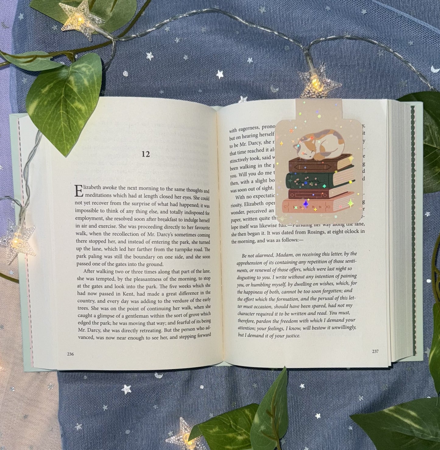 Sleepy Cat Magnetic Bookmark